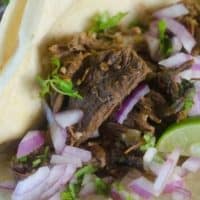 Instant Pot Shredded Beef Tacos