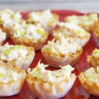 Chicken Salad Bites