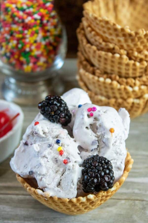 black berry ice cream