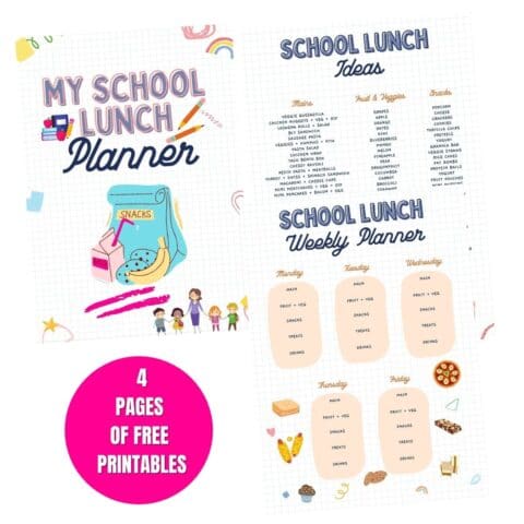 5 Of The Best Lunch Ideas For Kids For School • Bake Me Some Sugar