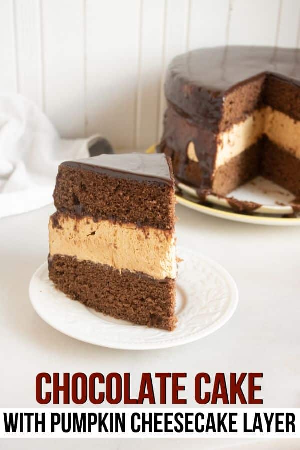 Chocolate Pumpkin Cheesecake Cake