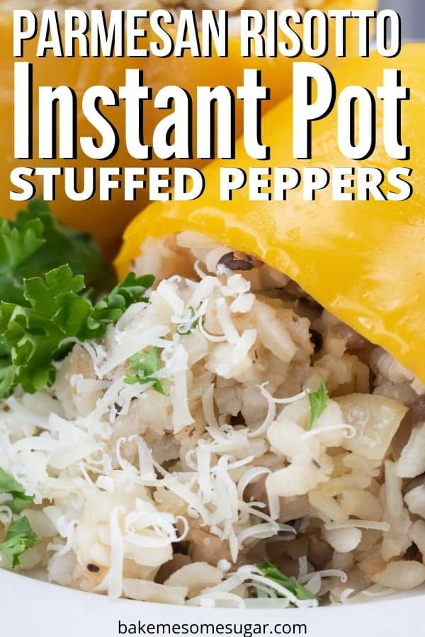 instant pot vegetarian recipe