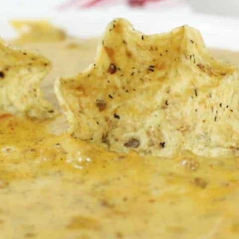Instant Pot Dip