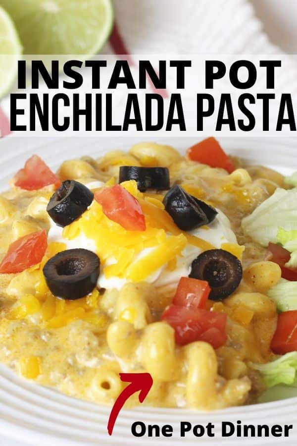 https://bakemesomesugar.com/wp-content/uploads/2019/12/Instant-Pot-enchilada-pasta.jpg