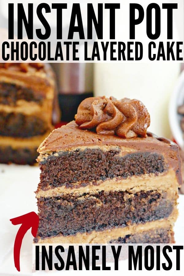 https://bakemesomesugar.com/wp-content/uploads/2019/12/instant-pot-cake-recipe-1.jpg