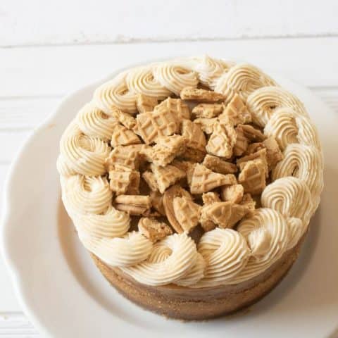 peanut butter cheesecake