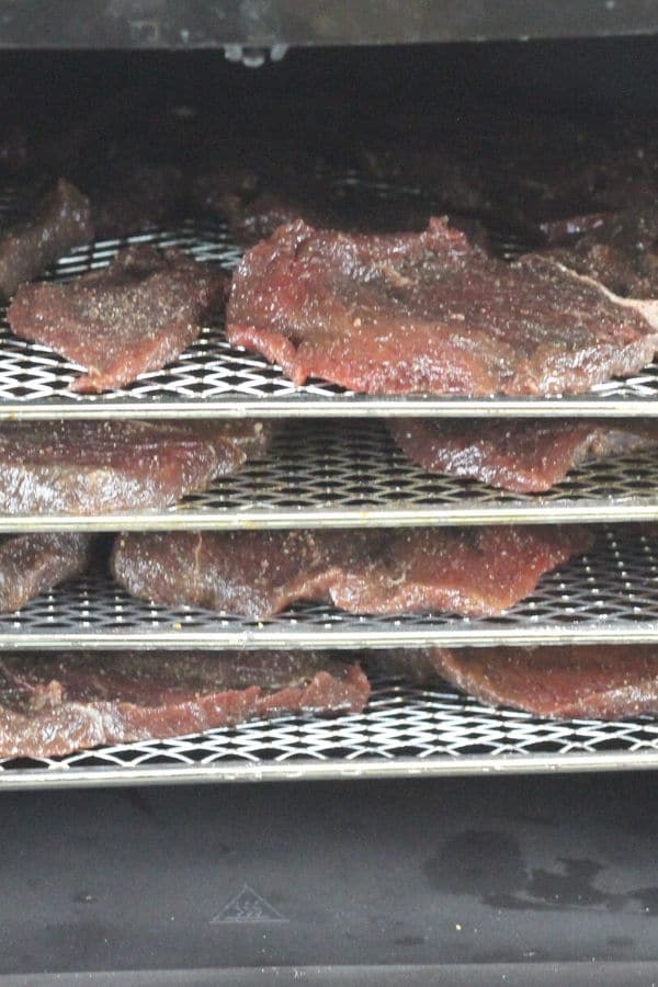 Ninja Foodi Beef Jerky using the dehydrator rack 