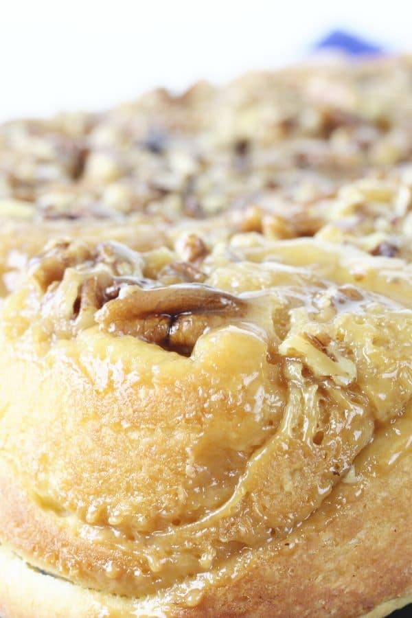 pecans buns