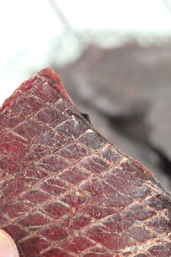 Venison Jerky Recipe (oven and dehydrator instructions) - SchneiderPeeps