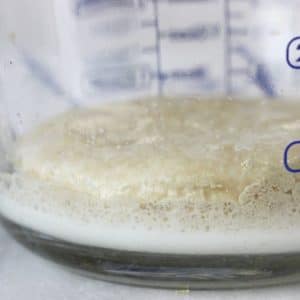 yeast mixture