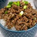 instant pot asian recipes