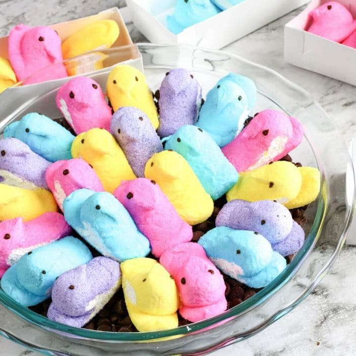 peeps in a pie pan on top of chocolate chips