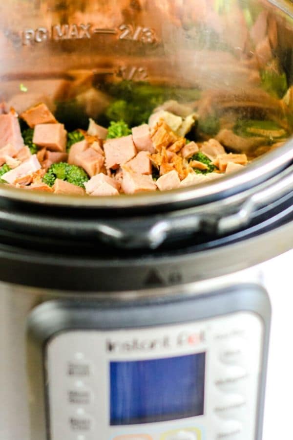 doubling instant pot recipe