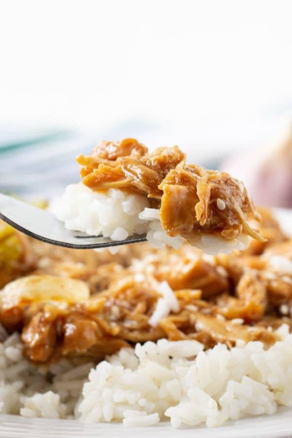 Ninja foodi teriyaki chicken and online rice