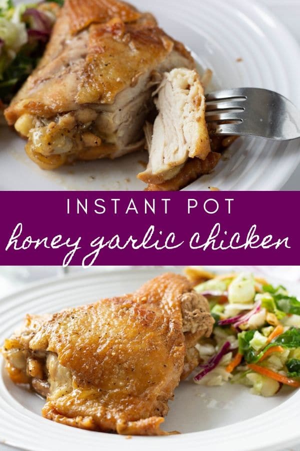 instant pot honey garlic chicken