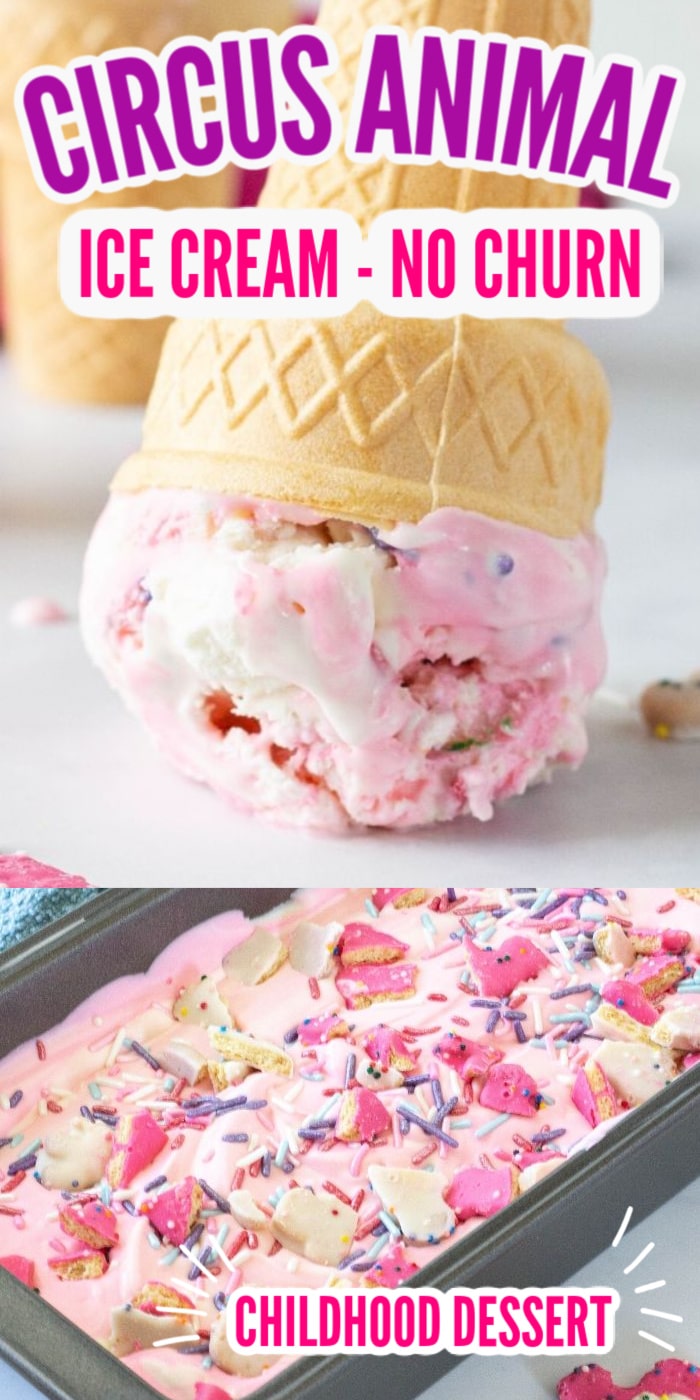 Circus Animal Cookie Ice Cream No Churn Recipe with Video • Bake Me