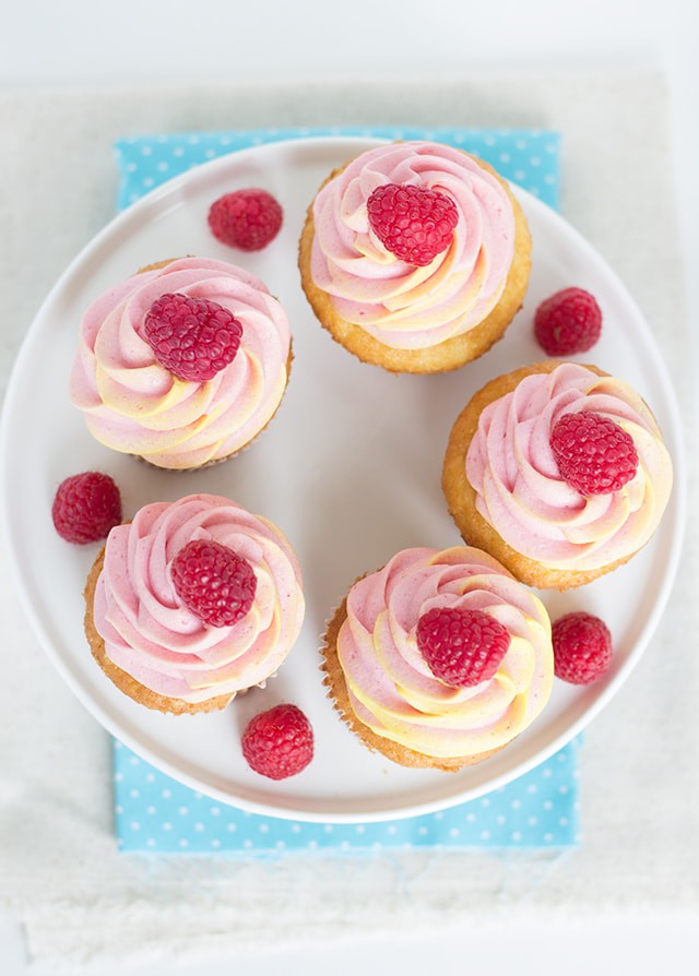 raspberry cupcakes in shape of a circle sitting on plate on a table 