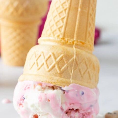 sweetened condensed milk ice cream recipes