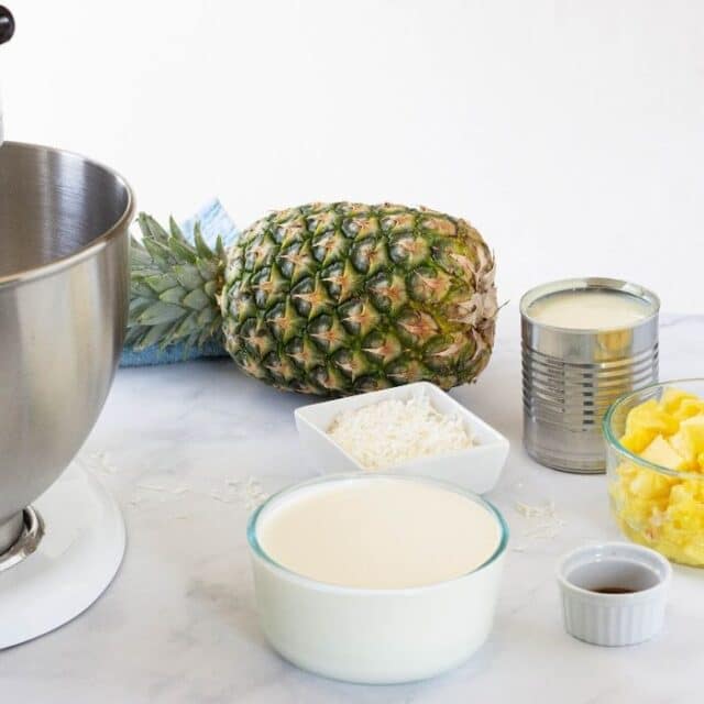 SUGAR FREE PINEAPPLE ICE CREAM RECIPE visual data 2
