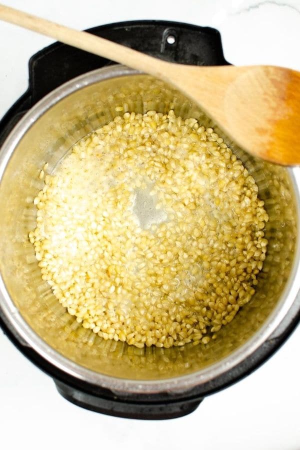 instant pot with corn kernals