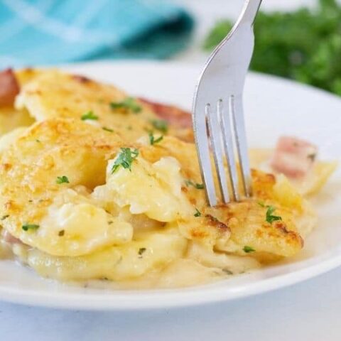 plate of potatoes with fork