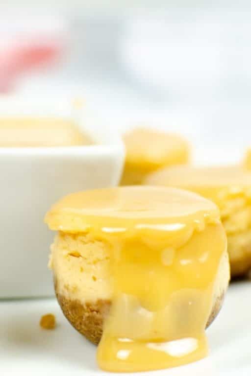 Mini Instant Pot Dulce De Leche Cheesecake Bites Recipe • Bake Me Some
