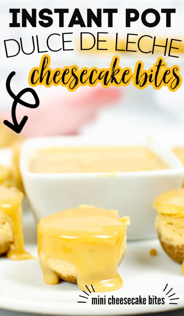 instant pot dulce de leche cheesecakes