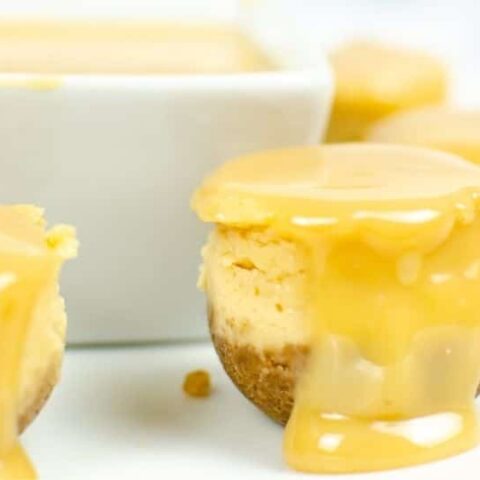 Mini Instant Pot Dulce De Leche Cheesecake Bites Recipe • Bake Me Some ...