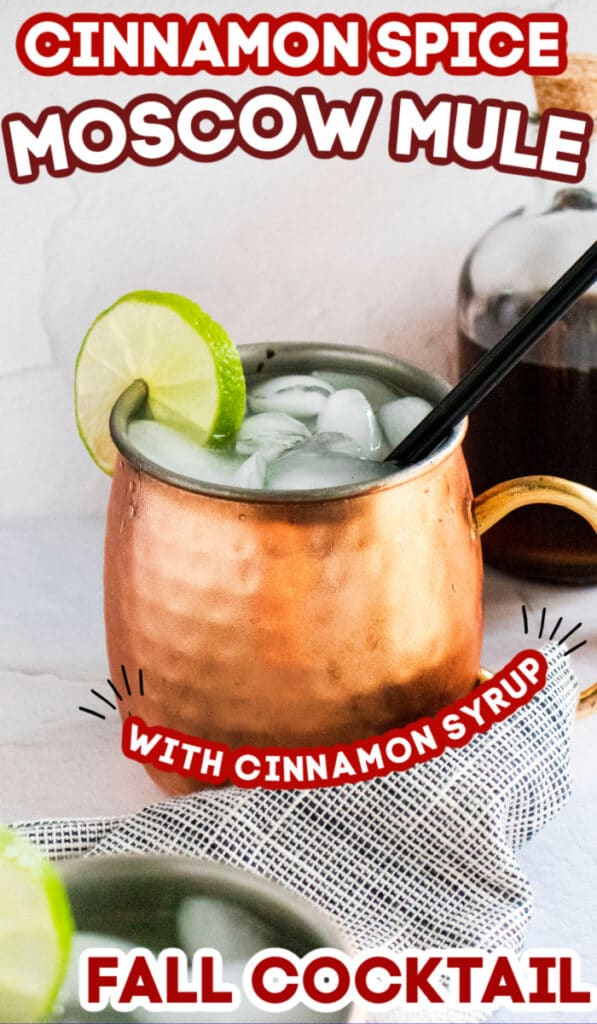 cinnamon spice moscow mule