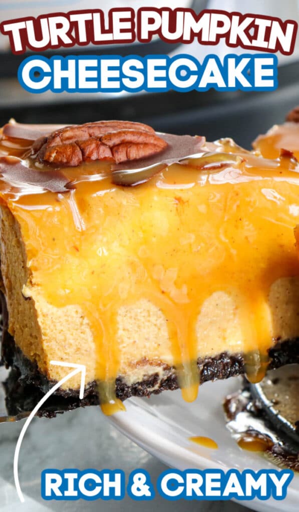 turtle pumpkin cheesecake