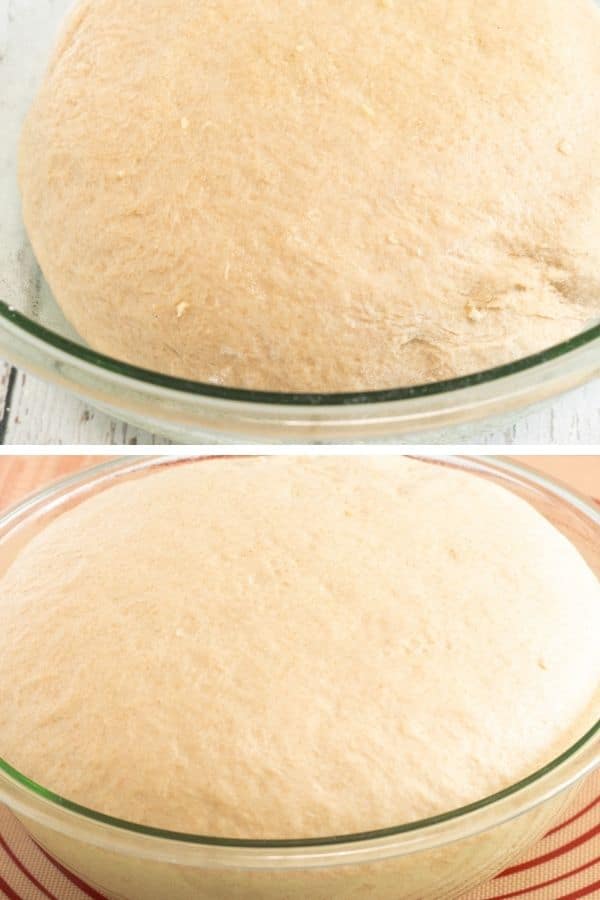 showing dinner roll dough rising