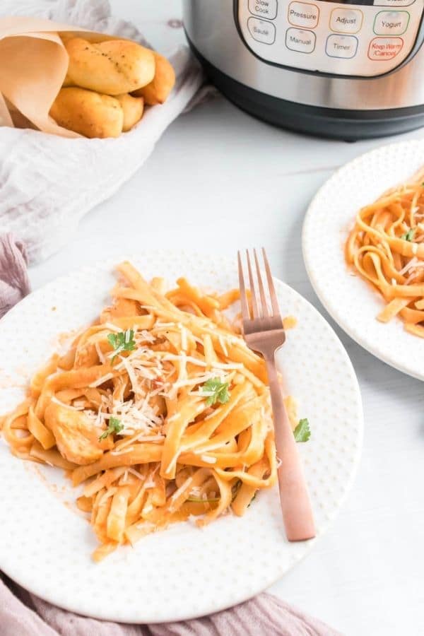 vodka sauce on a plate with breadsticks behind it 