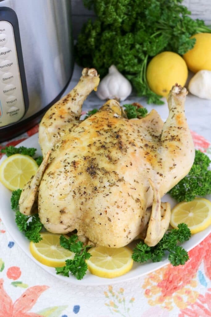 Foodi whole chicken recipe hot sale