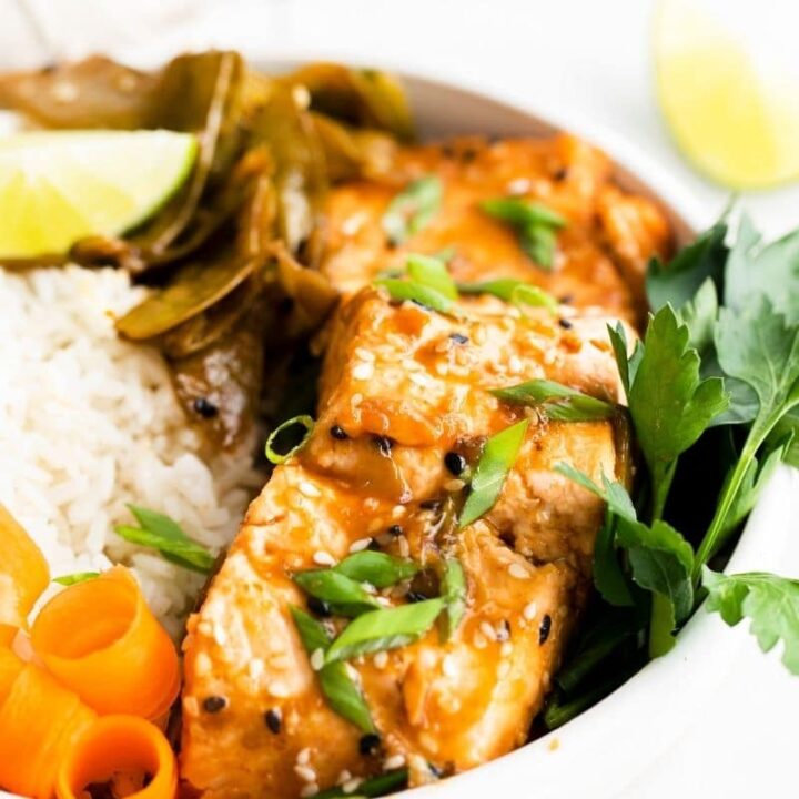 salmon in a rice bowl with toppings