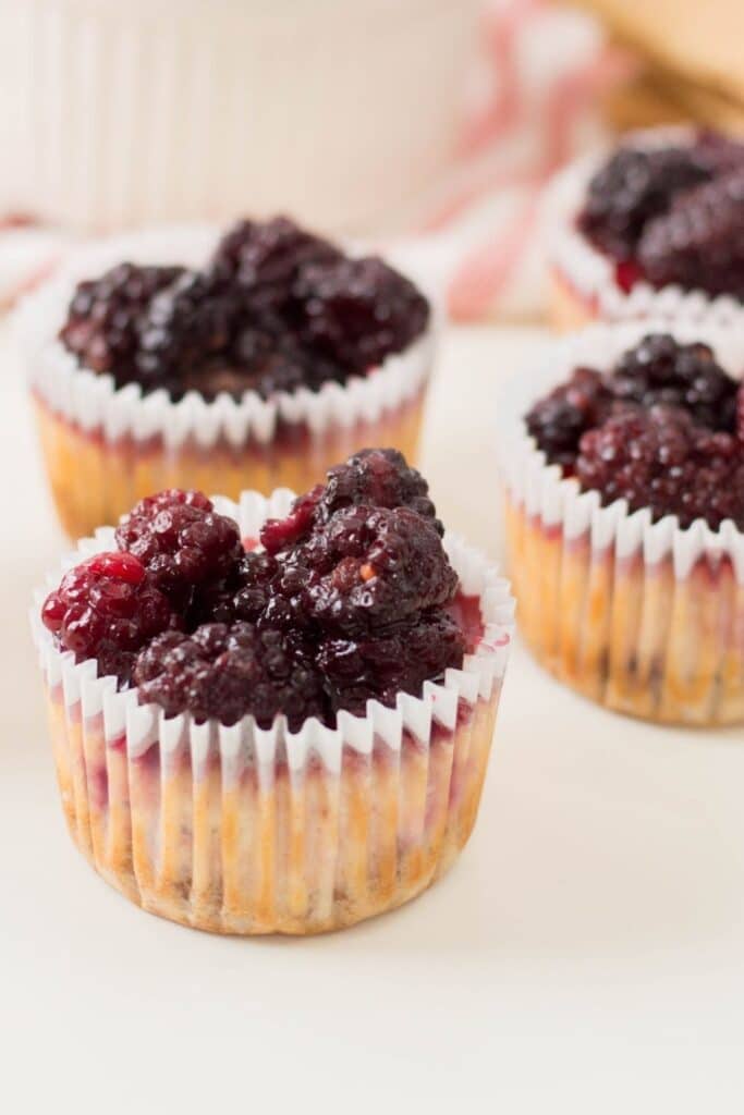 cheesecake bites on a plate 