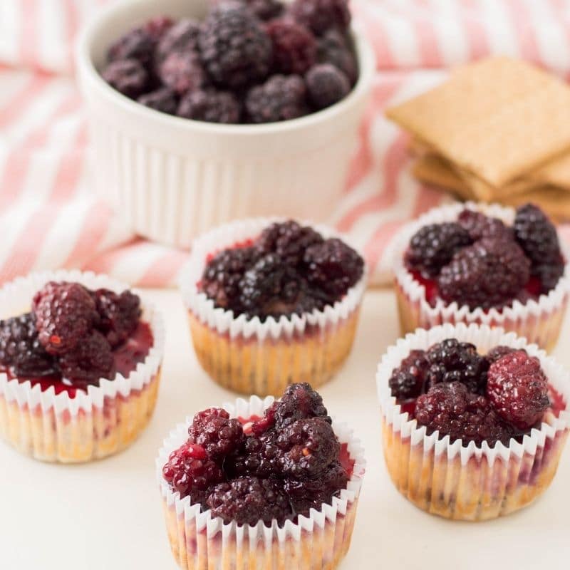 muffin tin cheesecakes on table with bowl of berries behind it 