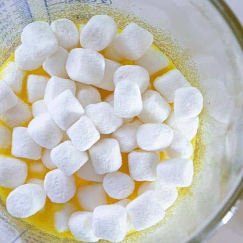 marshmallows on top of Jello mixture