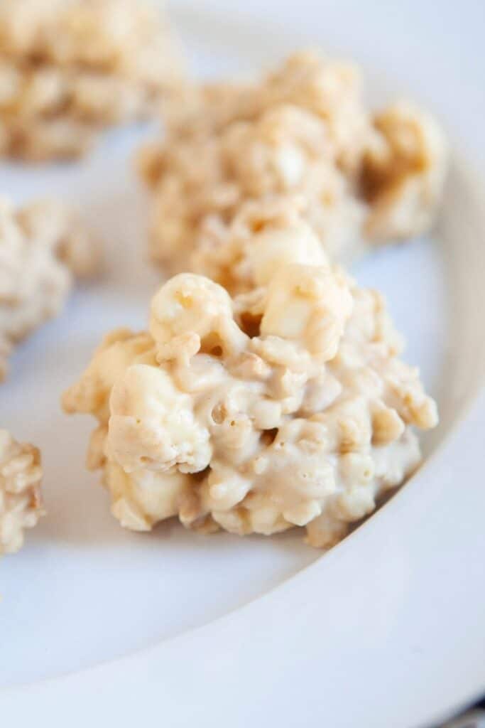 rocky mountain cookies on a white plate