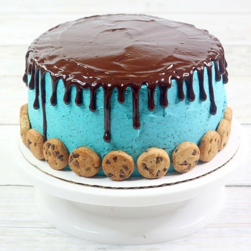 cookie monster cake | jocakes