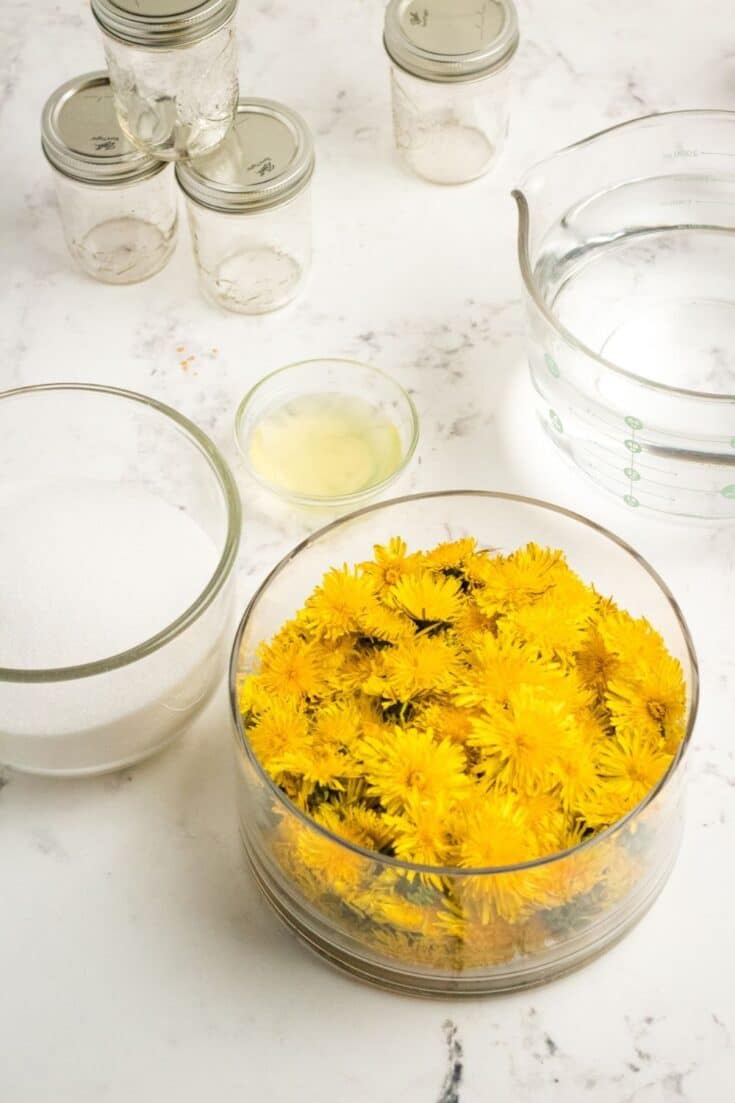 Canning Dandelion Jelly Recipe • Bake Me Some Sugar