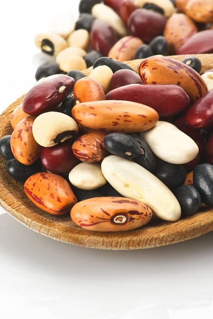 dried beans on a spoon