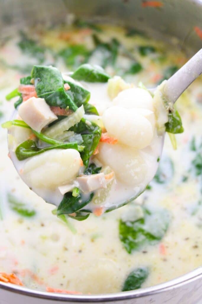 ladle full of gnocchi soup