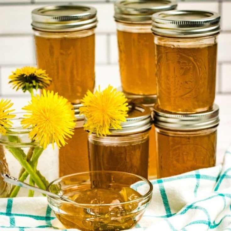Canning Dandelion Jelly Recipe Bake Me Some Sugar