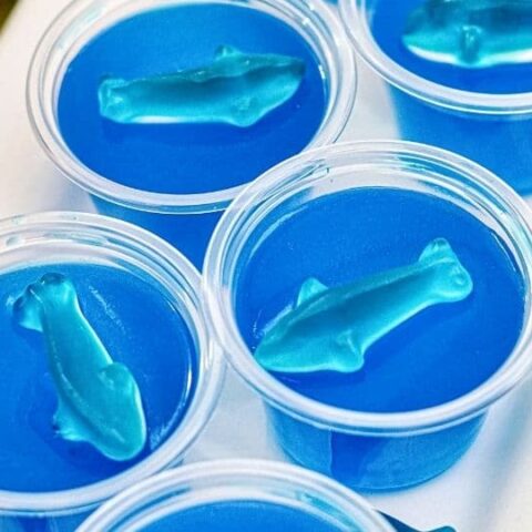 jello shots on a platter on table