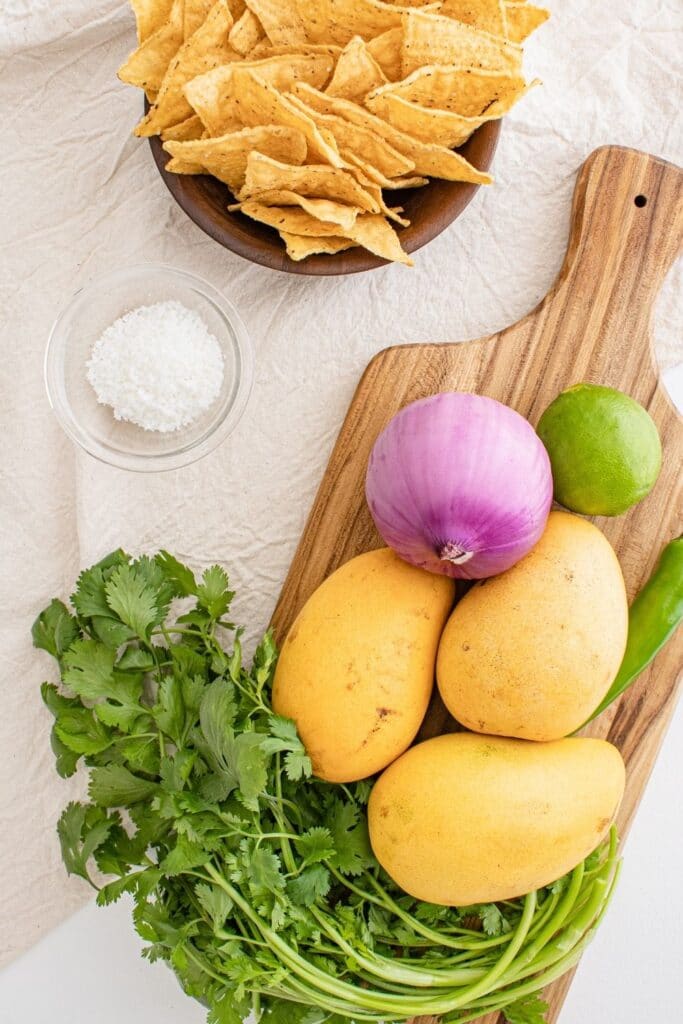 ingredients for mango salsa on counter 