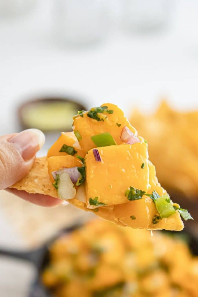 chip with salsa on it being held above bowl 