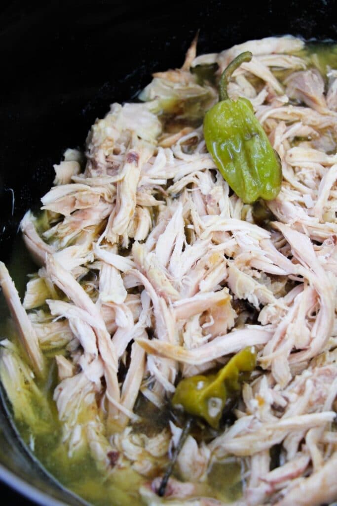 shredded chicken in crockpot with peppers on top