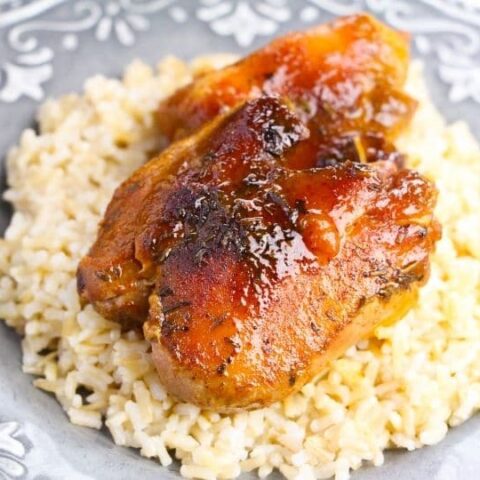 chicken thigh on plate with rice under it