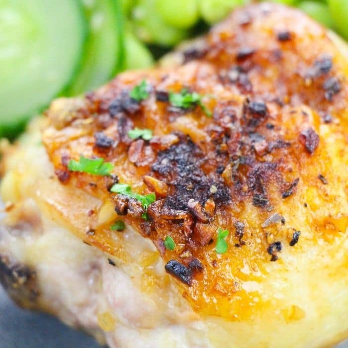 close up view of chicken with ganish