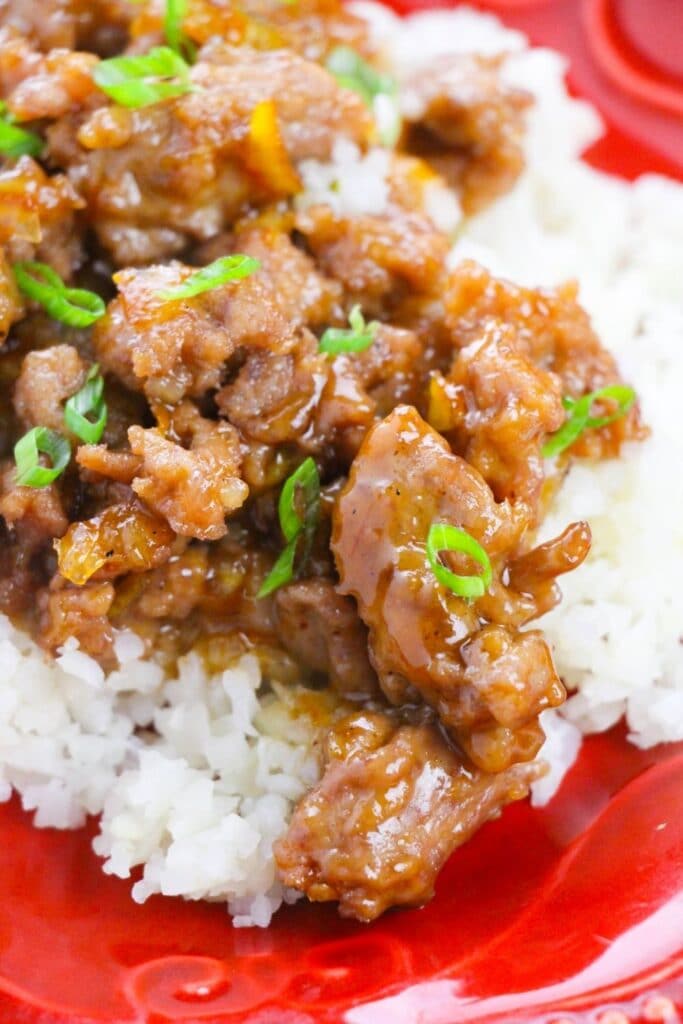 side view of plate with rice and chicken on top with garnish